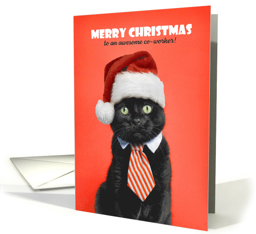 Merry Christmas Co-worker Cat in Santa Hat Humor card (1580932)