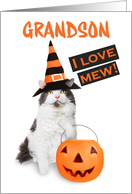 Happy Halloween Grandson Cute Kitty Cat in Costume card