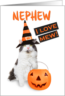 Happy Halloween Nephew Cute Kitty Cat in Costume card