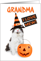 Happy Halloween Grandma Cute Kitty Cat in Costume card