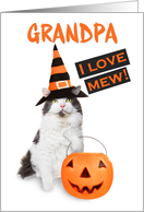 Happy Halloween Grandpa Cute Kitty Cat in Costume card