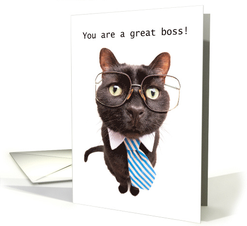 Happy Boss's Day Cat in Tie Humor card (1582450)