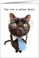 Happy Boss’s Day Cat in Tie Humor card