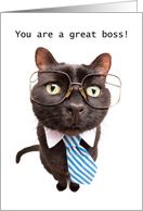 Happy Boss's Day Cat...