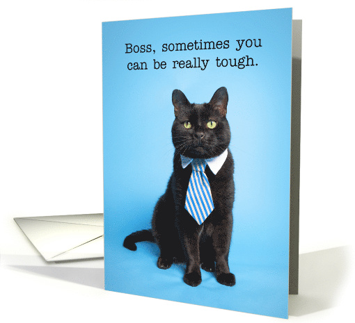 Happy Boss's Day Cat in Tie Humor card (1582466)