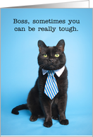 Happy Boss’s Day Cat in Tie Humor card
