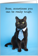 Happy Boss's Day Cat...