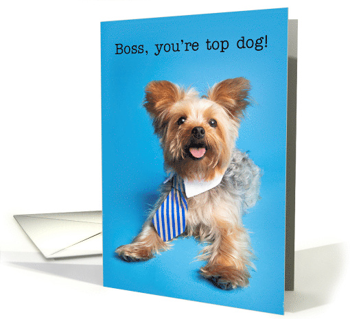 Happy Boss's Day Yorkie Dog in Tie Humor card (1583552)