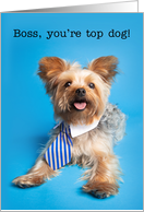 Happy Boss’s Day Yorkie Dog in Tie Humor card