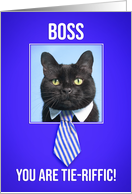 Happy Boss’s Day Cat in Tie on Blue Humor card