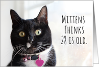 Happy Birthday Humor Cat Thinks 28 is Old card