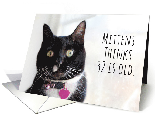 Happy Birthday Humor Cat Thinks 32 is Old card (1583938)