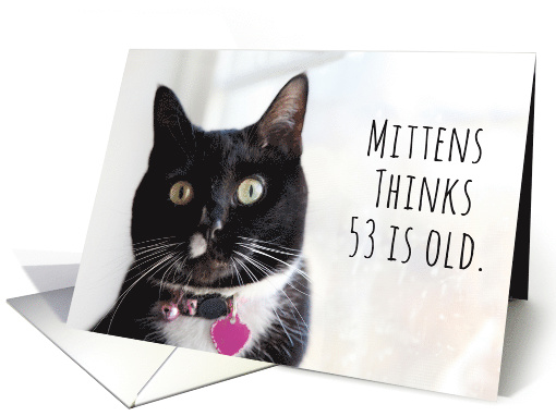 Happy Birthday Humor Cat Thinks 53 is Old card (1584034)