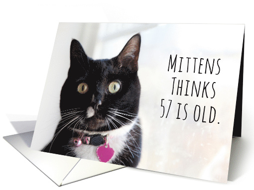 Happy Birthday Humor Cat Thinks 57 is Old card (1584040)