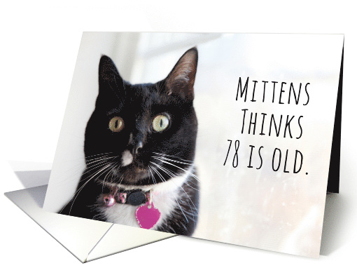 Happy Birthday Humor Cat Thinks 78 is Old card (1584090)