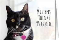Happy Birthday Humor Cat Thinks 95 is Old card