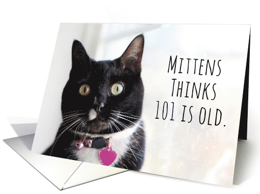 Happy Birthday Humor Cat Thinks 101 is Old card (1584348)