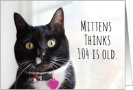 Happy Birthday Humor Cat Thinks 104 is Old card