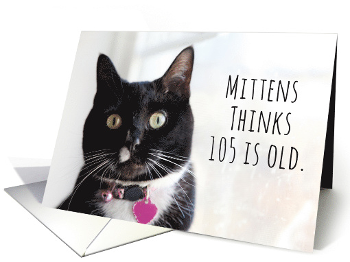 Happy Birthday Humor Cat Thinks 105 is Old card (1584356)