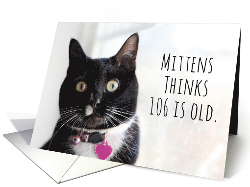Happy Birthday Humor Cat Thinks 106 is Old card (1584804)