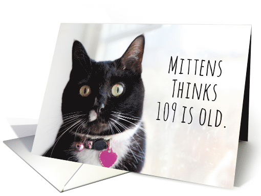 Happy Birthday Humor Cat Thinks 109 is Old card (1584810)