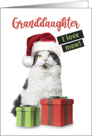 Merry Christmas Granddaughter Cute Cat With Presents card