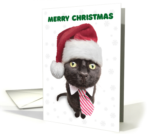 Merry Christmas For Anyone Funny Black Cat in Tie card (1585004)