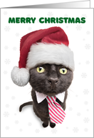 Merry Christmas For Anyone Funny Black Cat in Tie card