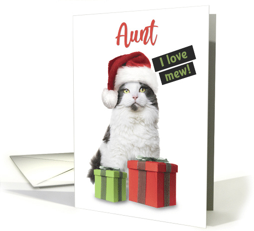 Merry Christmas Aunt Cute Cat With Presents card (1585030)