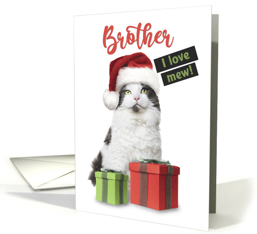 Merry Christmas Brother Cute Cat With Presents card (1585098)