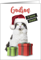 Merry Christmas Godson Cute Cat With Presents card