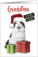 Merry Christmas Grandma Cute Cat With Presents card