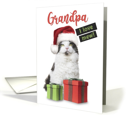 Merry Christmas Grandpa Cute Cat With Presents card (1585106)