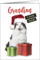 Merry Christmas Grandson Cute Cat With Presents card