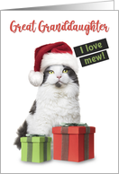 Merry Christmas Great Granddaughter Cute Cat With Presents card