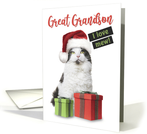 Merry Christmas Great Grandson Cute Cat With Presents card (1585116)