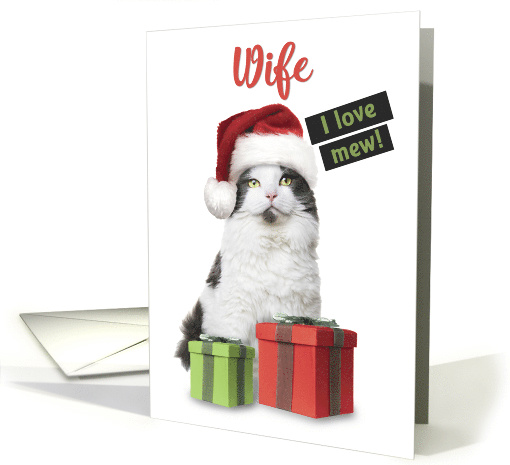 Merry Christmas Wife Cute Cat With Presents card (1585144)