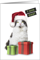 Merry Christmas For Anyone I Love Mew Cute Cat With Presents card