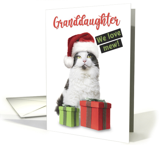 Merry Christmas Granddaughter We Love Mew Cute Cat With Presents card