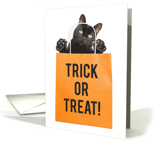 Happy Halloween For Anyone Black Cat in Treat Bag Humor card (1585488)