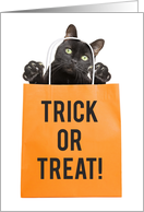 Happy Halloween For Anyone Black Cat in Treat Bag Humor card