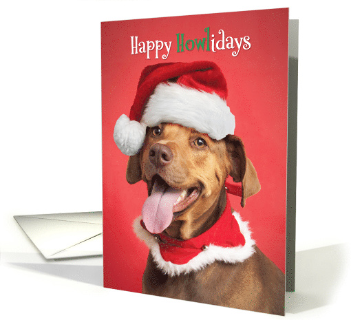 Happy Holidays For Anyone Pit Bull in Christmas Hat Humor card