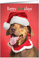 Happy Holidays For Anyone Pit Bull in Christmas Hat Humor card