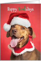 Happy Holidays From The Dog card
