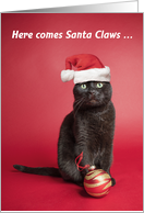 Merry Christmas For Anyone Black Cat Christmas Humor card