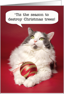 Merry Christmas For Anyone Cat With Christmas Ornament Humor card