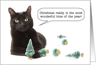 Merry Christmas For Anyone Cat Knocking Over Trees Humor card