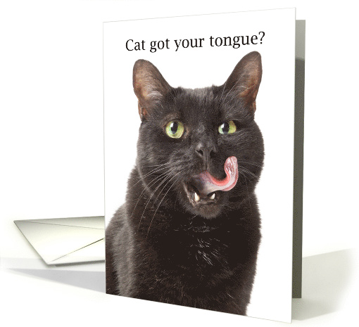 Hello it's Been a While Cat Got Your Tongue Humor card (1587206)