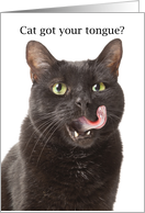 Hello it’s Been a While Cat Got Your Tongue Humor card