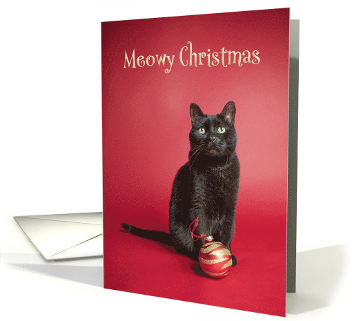 Meowy (Merry) Christmas Cat With Ornament Humor card (1587610)